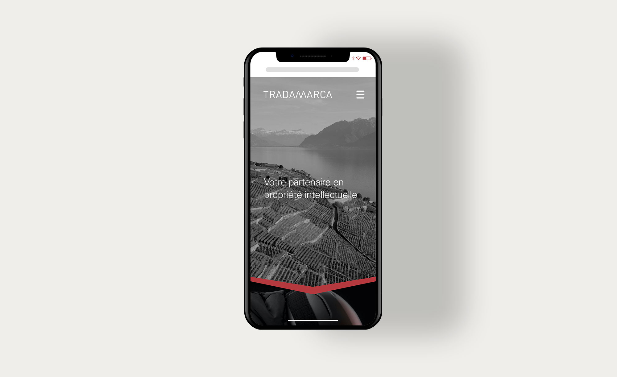 TM_Mobile-03